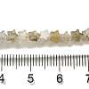 Natural Labradorite Beads Strands G-G085-B25-01-4