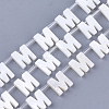 Natural Freshwater Shell Beads SHEL-T012-59M-1