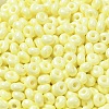Baking Paint Glass Seed Beads SEED-B001-02A-13-3
