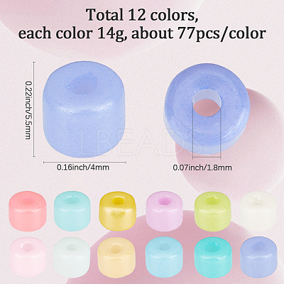 168G 12 Colors Opaque Baking Paint Glass Seed Beads SEED-SP0001-03B-01-1