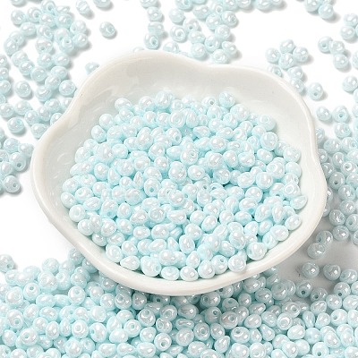 6/0 Glass Seed Beads SEED-M012-01A-13-1