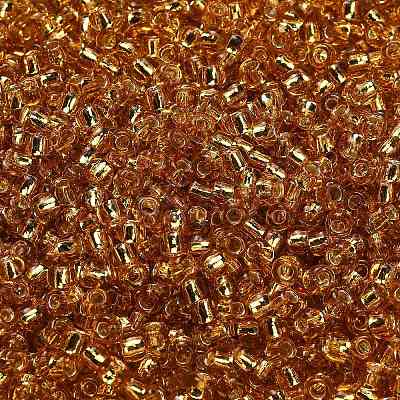 TOHO 6/0 Round Beads SEED-TR06-0022B-1