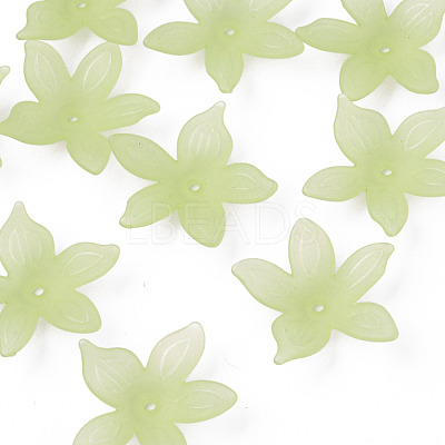 Transparent Acrylic Beads MACR-S373-127-D06-1