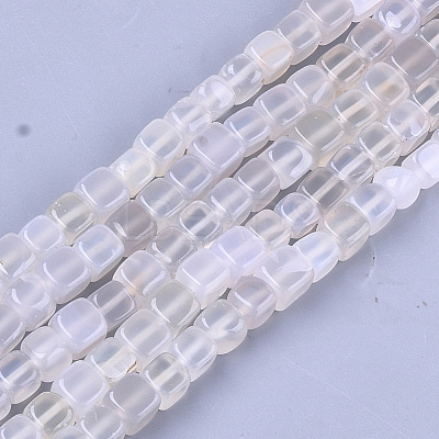 Natural Agate Beads Strands G-T121-04D-1