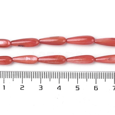 Natural Freshwater Shell Beads Strands SHEL-A004-03F-1
