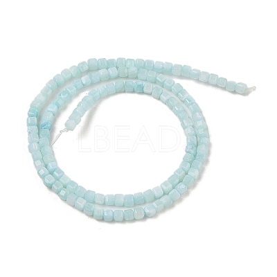 Natural Freshwater Shell Dyed Beads Strands SHEL-R100-11A-03-1