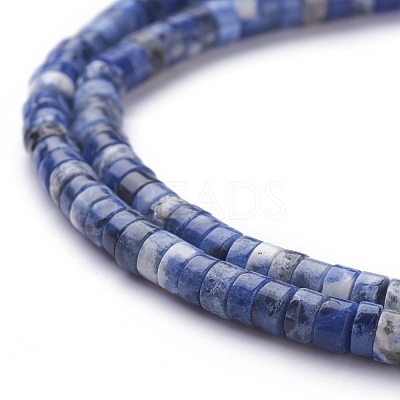 Natural Sodalite Beads Strands G-H230-10-1