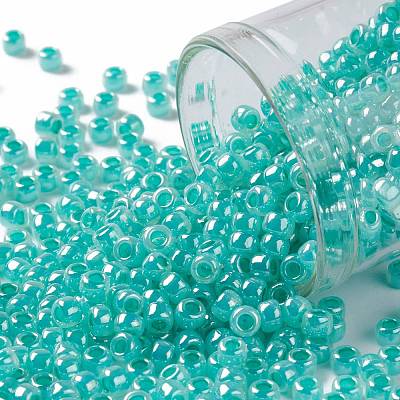 TOHO Round Seed Beads X-SEED-TR08-0920-1