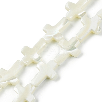Natural Trochid Shell/Trochus Shell Beads Strands SSHEL-K027-05-1