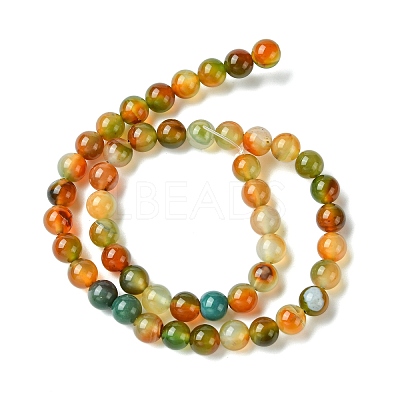 Natural Peacock Agate Beads Strands G-G444-8mm-02-1