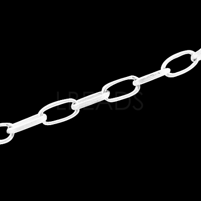Iron Paperclip Chains CH-R025-10x5mm-S-1