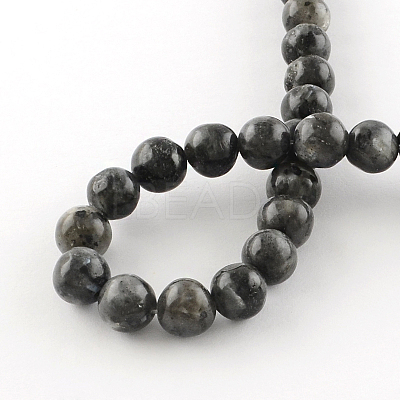 Natural Larvikite Round Beads Strands G-R342-6mm-09-1
