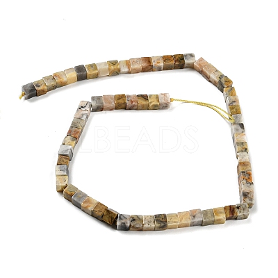 Natural Crazy Lace Agate Beads Strands G-Q1008-B11-1
