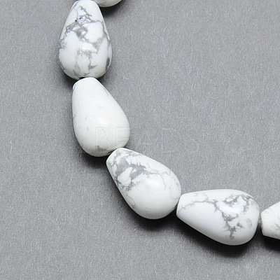 Natural Howlite Gemstone Bead Strands X-G-T004-19-1