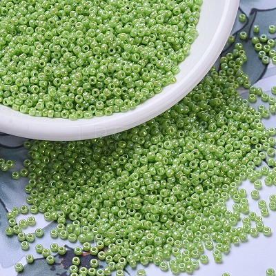 MIYUKI Round Rocailles Beads SEED-G007-RR0479-1