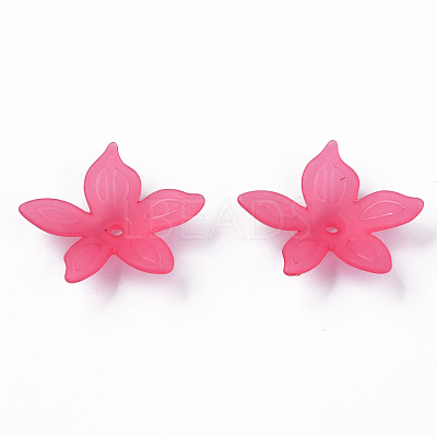 Transparent Acrylic Beads MACR-S373-127-D-1