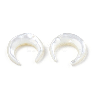 Natural White Shell Beads SSHEL-N034-122B-03-1