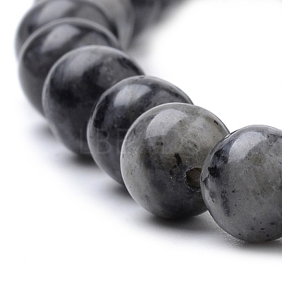 Natural Larvikite Beads Strands G-S259-06-8mm-1