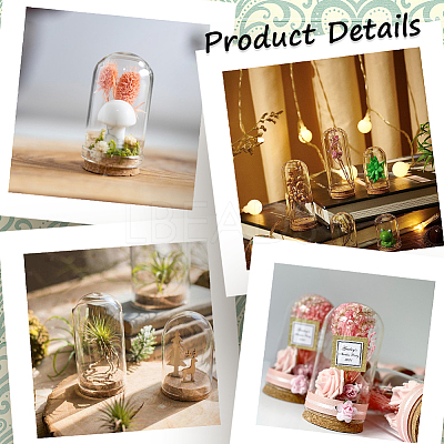 16Pcs Glass Dome Cloche Cover AJEW-SC0001-55B-1