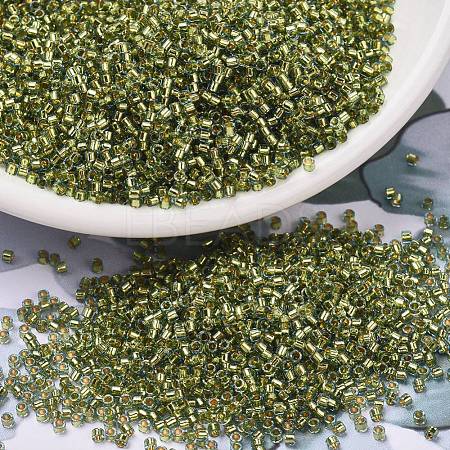 MIYUKI Delica Beads SEED-X0054-DB2522-1