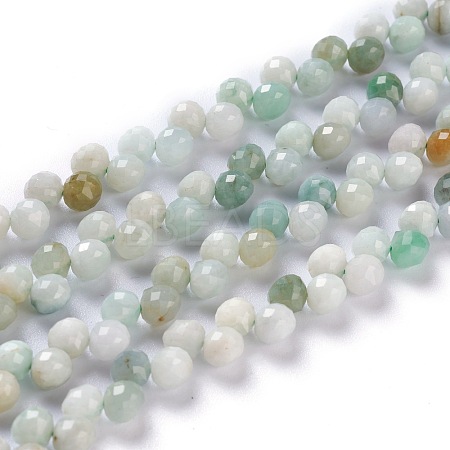 Natural Myanmar Jade/Burmese Jade  Beads Strands G-H243-17-1
