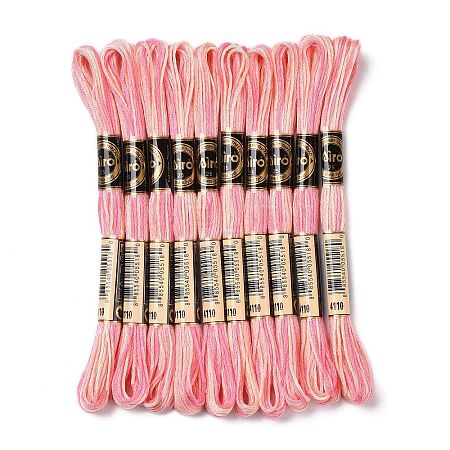 10 Skeins 6-Ply Polyester Embroidery Floss OCOR-K006-A28-1