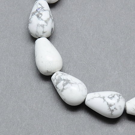 Natural Howlite Gemstone Bead Strands X-G-T004-19-1