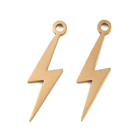 304 Stainless Steel Pendants STAS-L297-07G-1