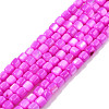 Natural Freshwater Shell Beads Strands SHEL-N003-33-A05-1