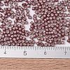 MIYUKI Delica Beads X-SEED-J020-DB1167-4