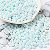 6/0 Glass Seed Beads SEED-M012-01A-13-1