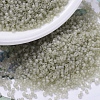 MIYUKI Delica Beads X-SEED-J020-DB0383-1