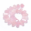 Natural Rose Quartz Beads Strands G-F715-035-2