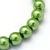 Baking Paint Glass Pearl Bead Strands HY-Q003-3mm-13-2