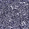 FGB 11/0 Grade A Glass Seed Beads SEED-S030-1214-2