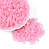 FGB Frosted Transparent Glass Seed Beads SEED-N013-03A-05-1