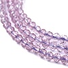 Glass Beads Strands G-K185-16O-3