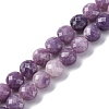 Natural Lepidolite/Purple Mica Stone Beads Strands G-C179-A38-03-2