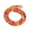 Natural Carnelian Beads Strands G-F718-07-3