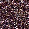 MIYUKI Round Rocailles Beads X-SEED-G007-RR1005-3