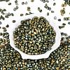 Picasso Glass Seed Beads SEED-N012-10K-2