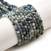 Natural Kyanite/Cyanite/Disthene Beads Strands G-G259-D05-3mm-2