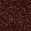 TOHO 6/0 Round Beads X-SEED-TR06-2154-3