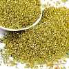 Baking Paint Silver Lined Glass Seed Beads SEED-H003-09E-1