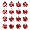 Platinum Plated Alloy Enamel Charms LS-ENAM-S118-03F-P-2