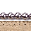 Electroplated Shell Pearl Beads Strands BSHE-G041-14mm-02-4