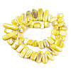 Natural Freshwater Shell Beads Strands X-SHEL-N026-123A-2