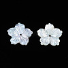 Natural White Shell Beads SSHEL-N027-131B-01-2