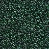 12/0 FGB Grade A Round Glass Seed Beads SEED-Q011-F522-2