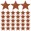 60Pcs Iron Pendants IFIN-GF0001-42B-1